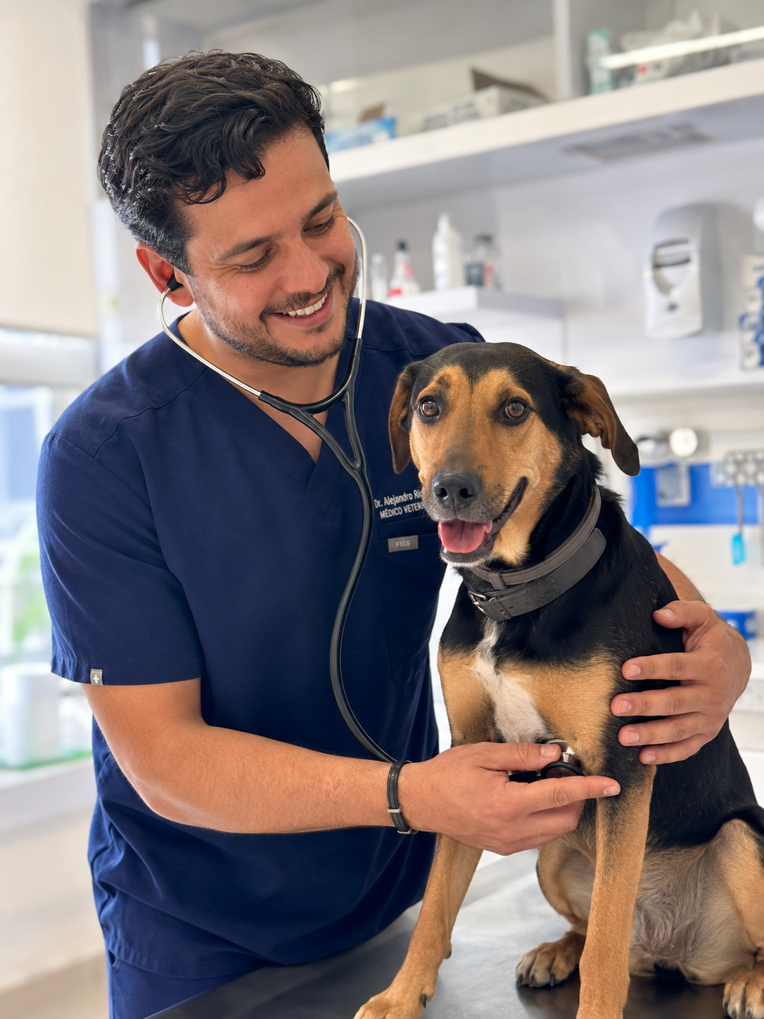 Veterinarias & Servicios de Salud